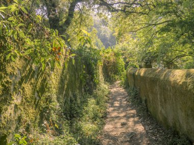 Sintra. Şaşırtıcı ve mistik park Quinta da Regaleira