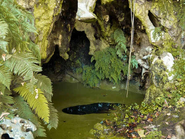 Sintra. Şaşırtıcı ve mistik park Quinta da Regaleira