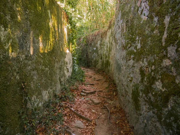 Sintra. Şaşırtıcı ve mistik park Quinta da Regaleira