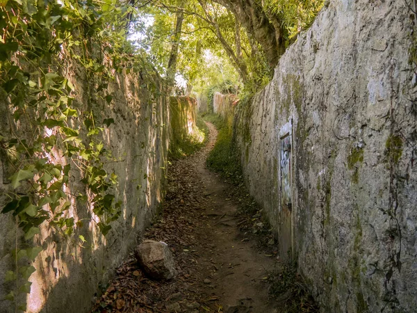Sintra. Şaşırtıcı ve mistik park Quinta da Regaleira