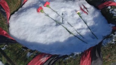Rusya, St. Petersburg, Şubat 2019: Piskaryovskoye Memorial mezarlığı. Mezar taze çiçekler.