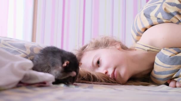 Rato doméstico caminha sobre o cobertor. Uma adolescente deita-se em uma cama e brinca com um rato . — Vídeo de Stock