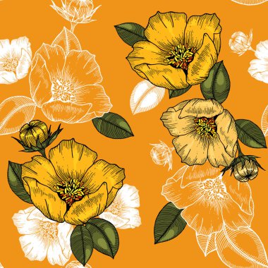 Çiçeği çiçek seamless modeli. Antika arka plan. Duvar kağıdı. Gerçekçi çiçek açan çiçekler izole. Elle çizilmiş. Vektör çizim.