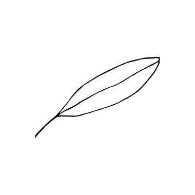 Yaprakların siyah beyaz çizgili sanat süslemesi. Vektör izole Clipart. Minimum tek renkli el botanik tasarım. Yaprakları birleştir