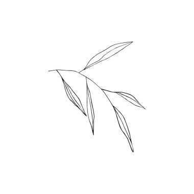 Yapraklı dalların siyah beyaz çizgili sanat dekorasyonu. Vektör izole Clipart. Minimum tek renkli el botanik tasarım. İşlemeli ağaç oyması