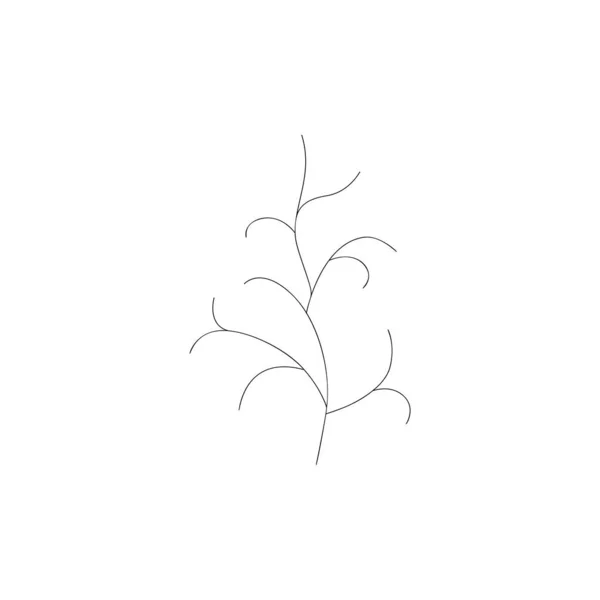 Linea Decorativa Bianco Nero Foglie Clipart Vettoriale Isolato Minimale Disegno — Vettoriale Stock