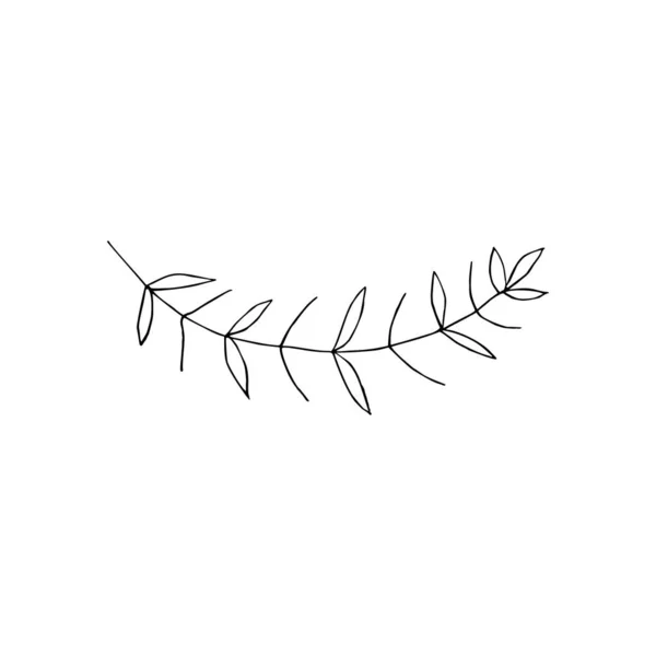 黑白相间的线条装饰着树叶 病媒孤立无援最小单色手绘植物图案 卷曲的树叶 — 图库矢量图片