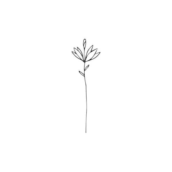 葉と綿の花の黒と白のラインアート装飾 ベクトル分離帯 植物のデザインを描く最小限のモノクロハンド 輪郭彫刻芽 — ストックベクタ