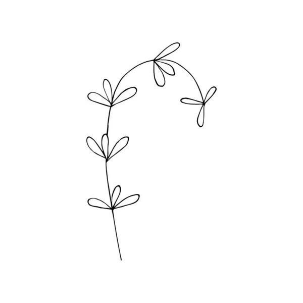 黑白相间的线条装饰着树叶 病媒孤立无援最小单色手绘植物图案 轮廓线雕刻处 — 图库矢量图片