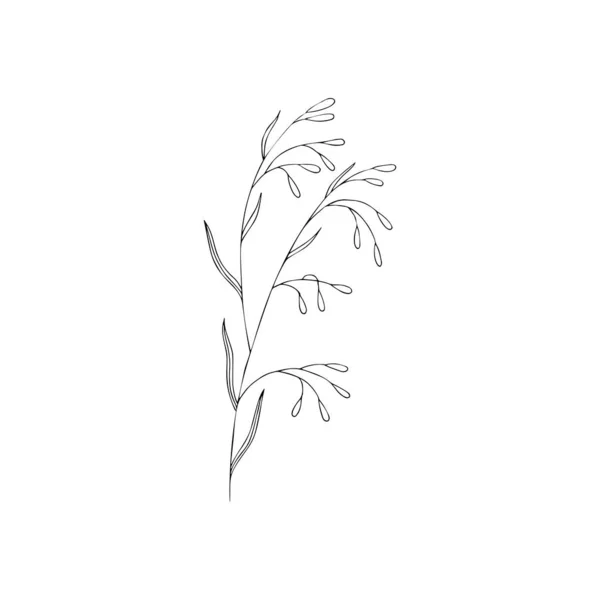 Preto Branco Decoração Arte Linha Folhas Vetor Clipart Isolado Desenho —  Vetores de Stock