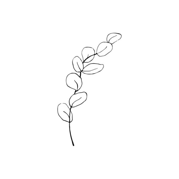 Yaprakların Siyah Beyaz Çizgili Sanat Süslemesi Vektör Izole Clipart Minimum — Stok Vektör