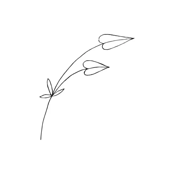 葉の黒と白のラインアートの装飾 ベクトル分離帯 植物のデザインを描く最小限のモノクロハンド 輪郭彫刻の葉 — ストックベクタ