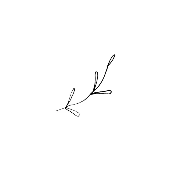 葉の黒と白のラインアートの装飾 ベクトル分離帯 植物のデザインを描く最小限のモノクロハンド 輪郭彫刻の葉 — ストックベクタ