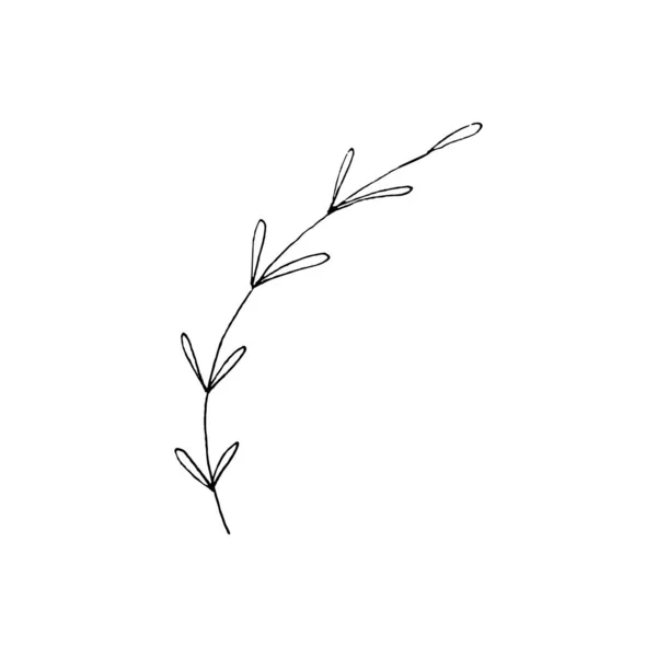 하얀색 장식이다 벡터들이 분리되어 있습니다 손으로 식물학적 설계를 그렸습니다 나뭇잎을 — 스톡 벡터