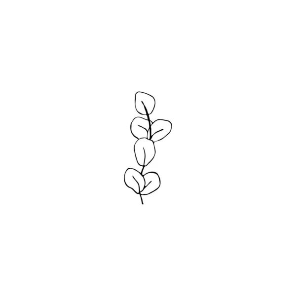 黑白相间的线条装饰着树叶 病媒孤立无援最小单色手绘植物图案 轮转雕花叶面 — 图库矢量图片