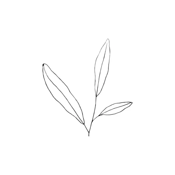 葉と花の黒と白のラインアート装飾 ベクトル分離帯 植物のデザインを描く最小限のモノクロハンド 輪郭彫刻芽 — ストックベクタ