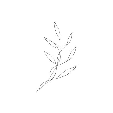 Yaprakların siyah beyaz çizgili sanat süslemesi. Vektör izole Clipart. Minimum tek renkli el botanik tasarım. Yaprakları birleştir