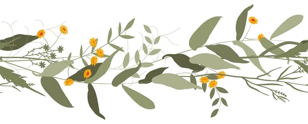 Horizontální Okraj Bezešvé Oranžové Sedmikrásky Květiny Byliny Akvarel Stylu Bílém — Stockový vektor