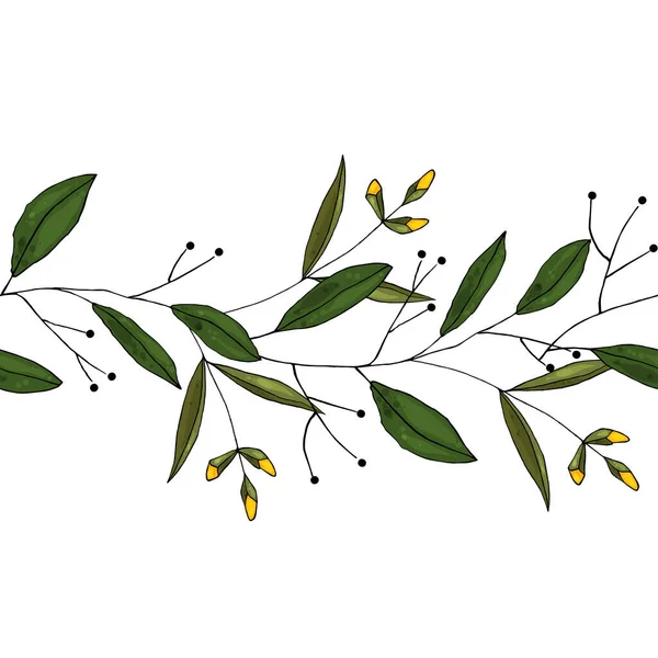 Horizontální Okraj Hladké Listy Byliny Žluté Květy Akvarelovém Stylu Bílém — Stockový vektor