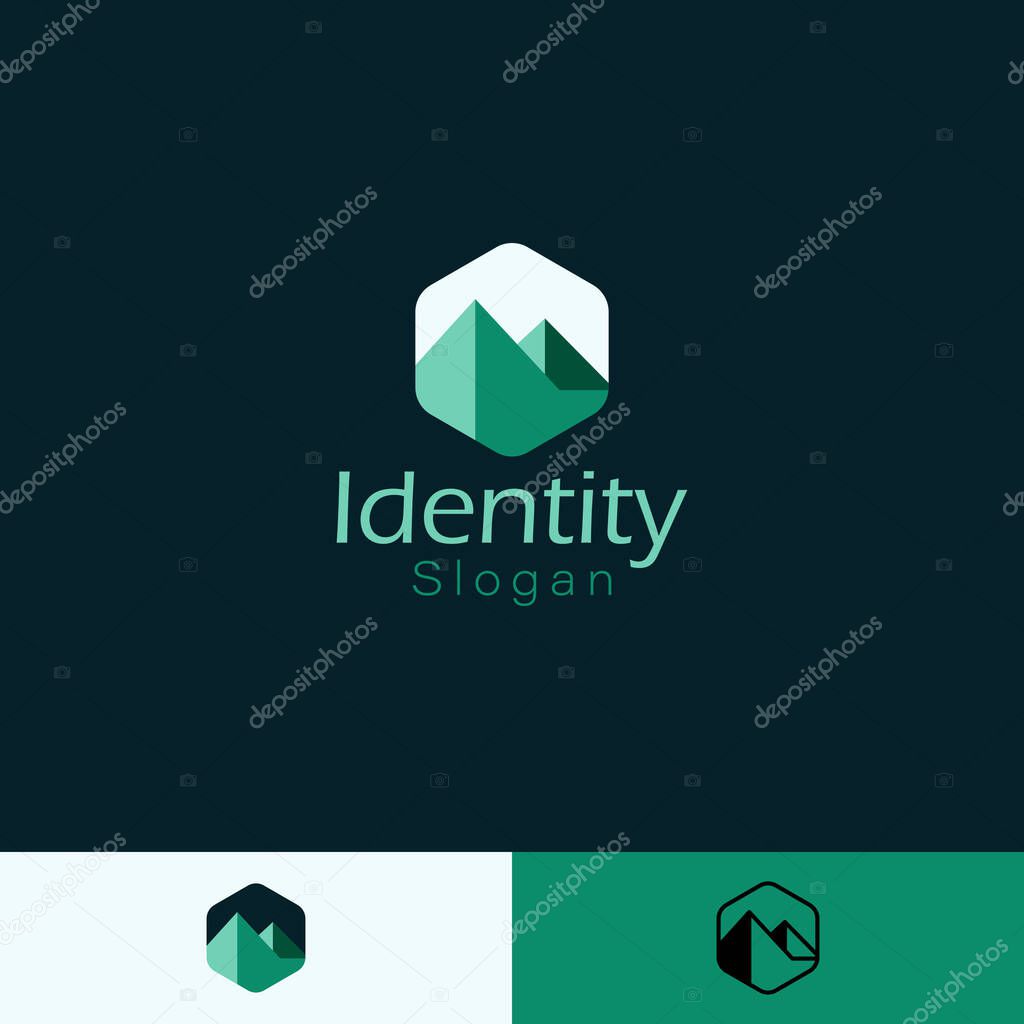 Geometric Mountain Hexagon Logo with three different backgrounds.