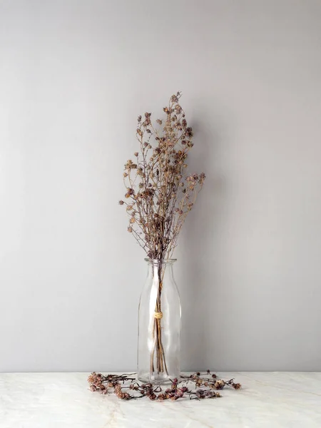 Bouquet Dried Wilted Brown Gypsophila Flowers Glass Bottle Matt Marble — Stock Photo, Image