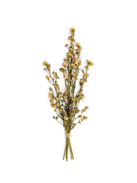 Top View Bouquet Dried Wilted Yellow Gypsophila Flowers Isolate White — Stock Photo, Image