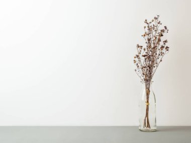 Buket kurutulmuş ve cam şişe gri zemin ve kopya alanı ile beyaz arka plan üzerinde kahverengi Gypsophila çiçekler solgunluk