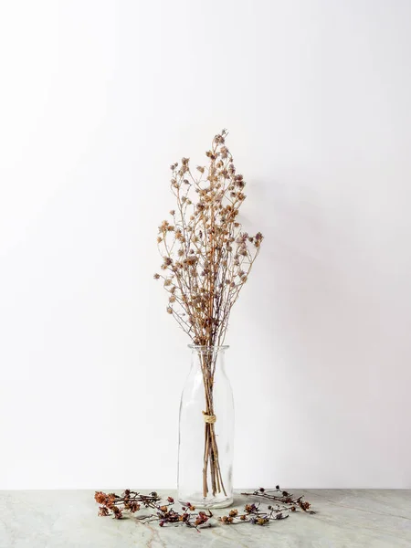 Buquê Flores Gypsophila Castanhas Secas Murchas Garrafa Vidro Chão Mármore — Fotografia de Stock