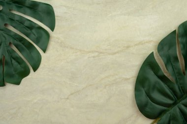 Monstera yaprak üstten görünüm üzerinde arka plan veya duvar kağıdı, kopya alanı olarak kullanmak için boş kahverengi matt mermer 