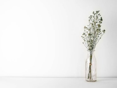 Buket kurutulmuş ve cam şişe beyaz zemin ve arka plan kopya alanı ile yeşil Gypsophila çiçekler solgunluk