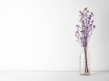 Buket kurutulmuş ve cam şişe beyaz zemin ve arka plan kopya alanı ile mor Gypsophila çiçekler solgunluk