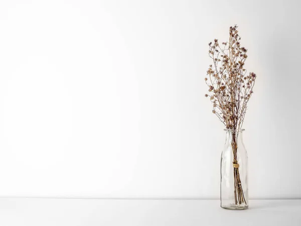 Букет Сушеных Вялых Коричневых Цыганских Цветов Стеклянной Бутылке Белом Полу — стоковое фото