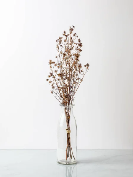 Buquê de flores secas de Gypsophila para decoração — Fotografia de Stock