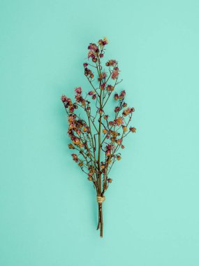 Üstten görünüm buket kurutulmuş ve mavi arka plan üzerinde kırmızı Gypsophila çiçekler solgunluk