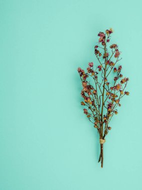 Üstten görünüm buket kurutulmuş ve kopya alanı ile mavi arka plan üzerinde kırmızı Gypsophila çiçekler solgunluk