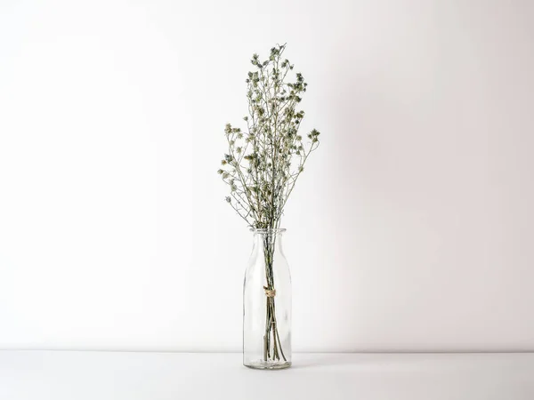Букет Сушеных Увядших Зеленых Цыганских Цветов Стеклянной Бутылке Белом Полу — стоковое фото