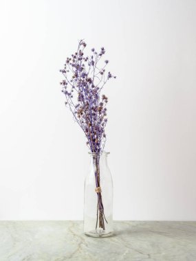 Buket kuru ve mat mermer zemin ve beyaz arka plan üzerinde cam şişede mor Gypsophila çiçekler solgunluk