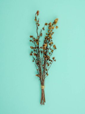 Üstten görünüm buket kurutulmuş ve mavi arka plan üzerinde kahverengi Gypsophila çiçekler solgunluk