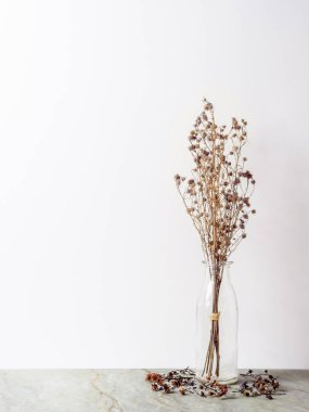 Buket kuru ve mat mermer zemin ve beyaz arka plan kopya alanı ile cam şişede kahverengi Gypsophila çiçekler solgunluk