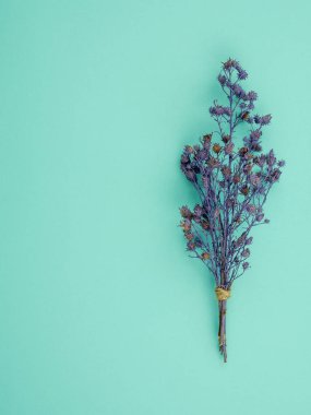 Üstten görünüm buket kurutulmuş ve kopya alanı ile mavi arka plan üzerinde mor Gypsophila çiçekler solgunluk