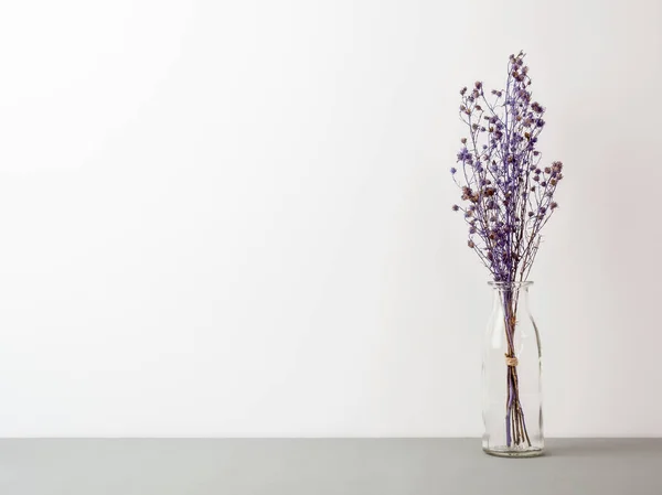 Букет Сушеных Вялых Фиолетовых Цыганских Цветов Стеклянной Бутылке Сером Полу — стоковое фото