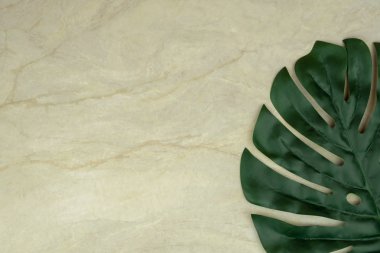 Monstera yaprak üstten görünüm üzerinde arka plan veya duvar kağıdı, kopya alanı olarak kullanmak için boş kahverengi matt mermer 