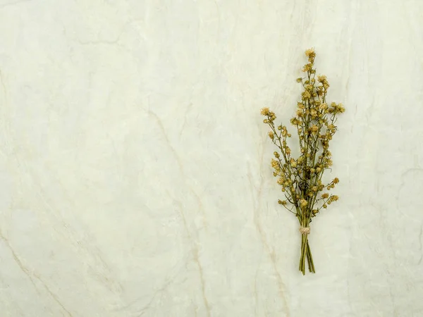 Blumenstrauß Aus Getrockneten Und Welken Grünen Zigeunerblumen Auf Mattem Marmorhintergrund — Stockfoto