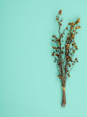 Üstten görünüm buket kurutulmuş ve kopya alanı ile mavi arka plan üzerinde kahverengi Gypsophila çiçekler solgunluk