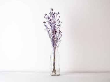 Buket kurutulmuş ve cam şişe beyaz zemin ve adam mor Gypsophila çiçekler solgunluk