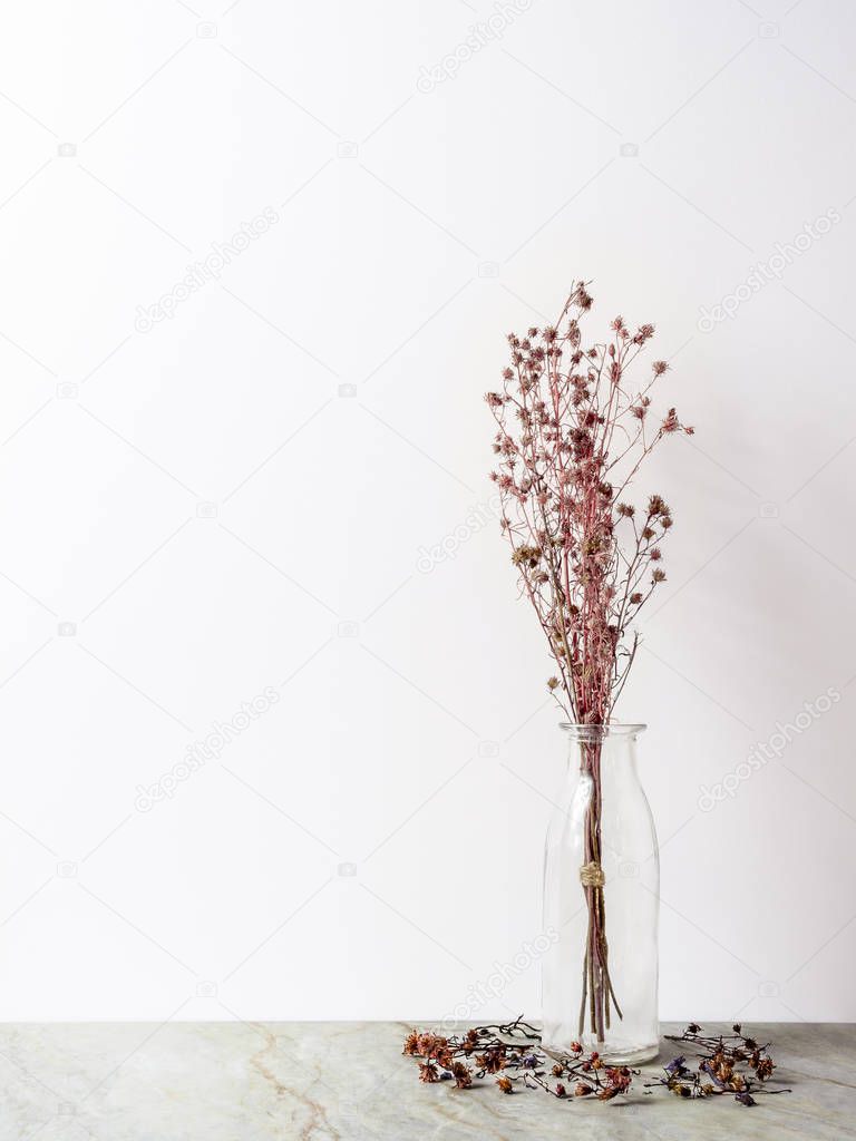 Bouquet of dried and wilted red Gypsophila flowers in glass bottle on matt marble floor and white background with copy space