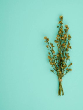 Üstten görünüm buket kurutulmuş ve kopya alanı mavi zemin üzerine sarı Gypsophila çiçekler solgunluk