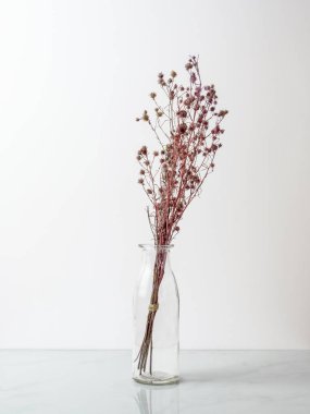 Buket kurutulmuş ve cam şişe veya mermer zemin ve beyaz arka planda kırmızı Gypsophila çiçekler solgunluk