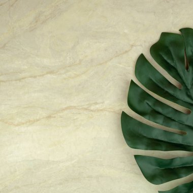Monstera yaprak üstten görünüm üzerinde arka plan veya duvar kağıdı, kopya alanı olarak kullanmak için boş kahverengi matt mermer 