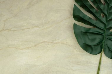 Monstera yaprak üzerinde boş kahverengi matt mermer